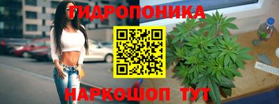 СК Лесосибирск