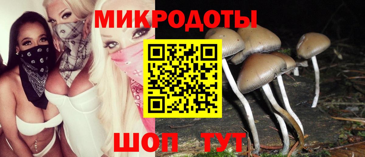 Псилоцибиновые грибы прущие грибы  Вход с VPN  Долгопрудный 